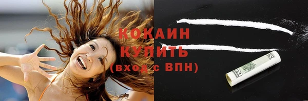 стаф Козельск