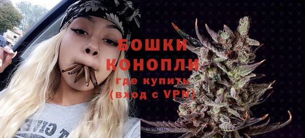 сатива Костерёво
