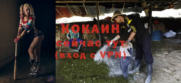 стаф Козельск