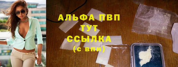 стаф Козельск