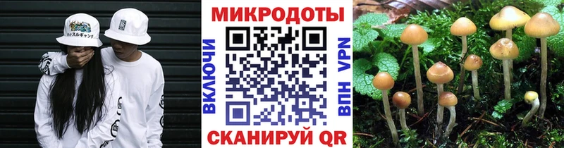 Псилоцибиновые грибы Cubensis  Купить  Асино 